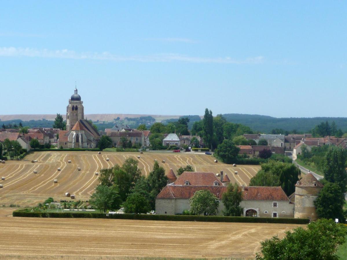 Chateau De Ribourdin Chevannes  Exterior photo