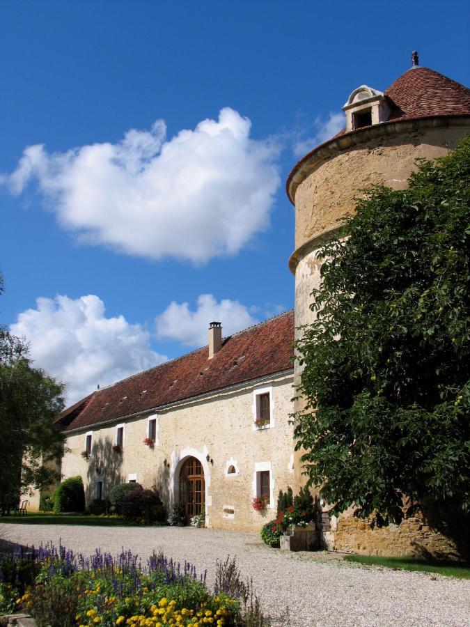 Chateau De Ribourdin Chevannes  Exterior photo