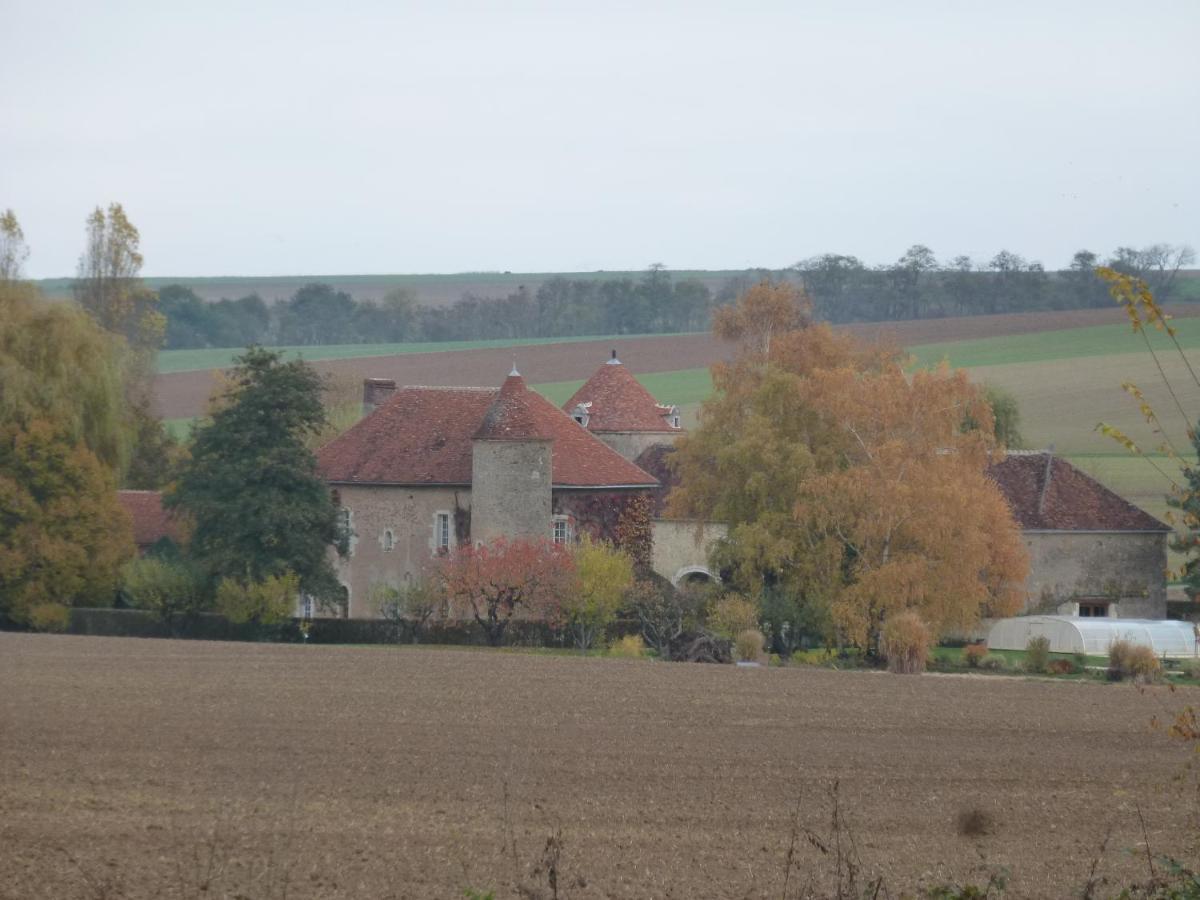Chateau De Ribourdin Chevannes  Exterior photo